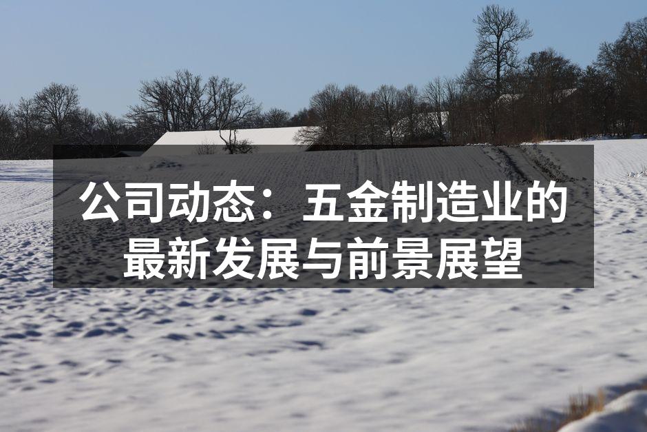 公司动态:五金制造业的最新发展与前景展望