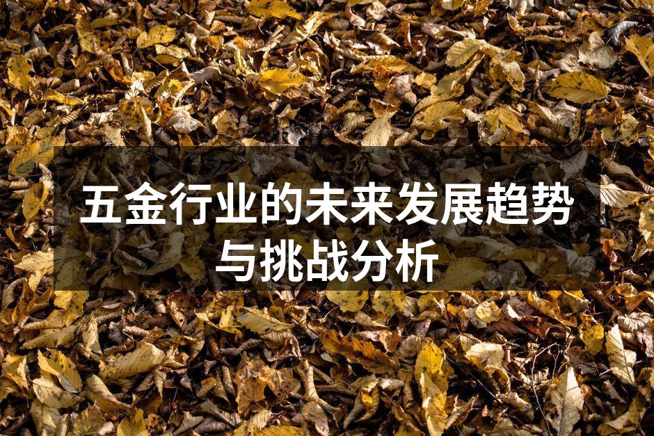五金行业的未来发展趋势与挑战分析